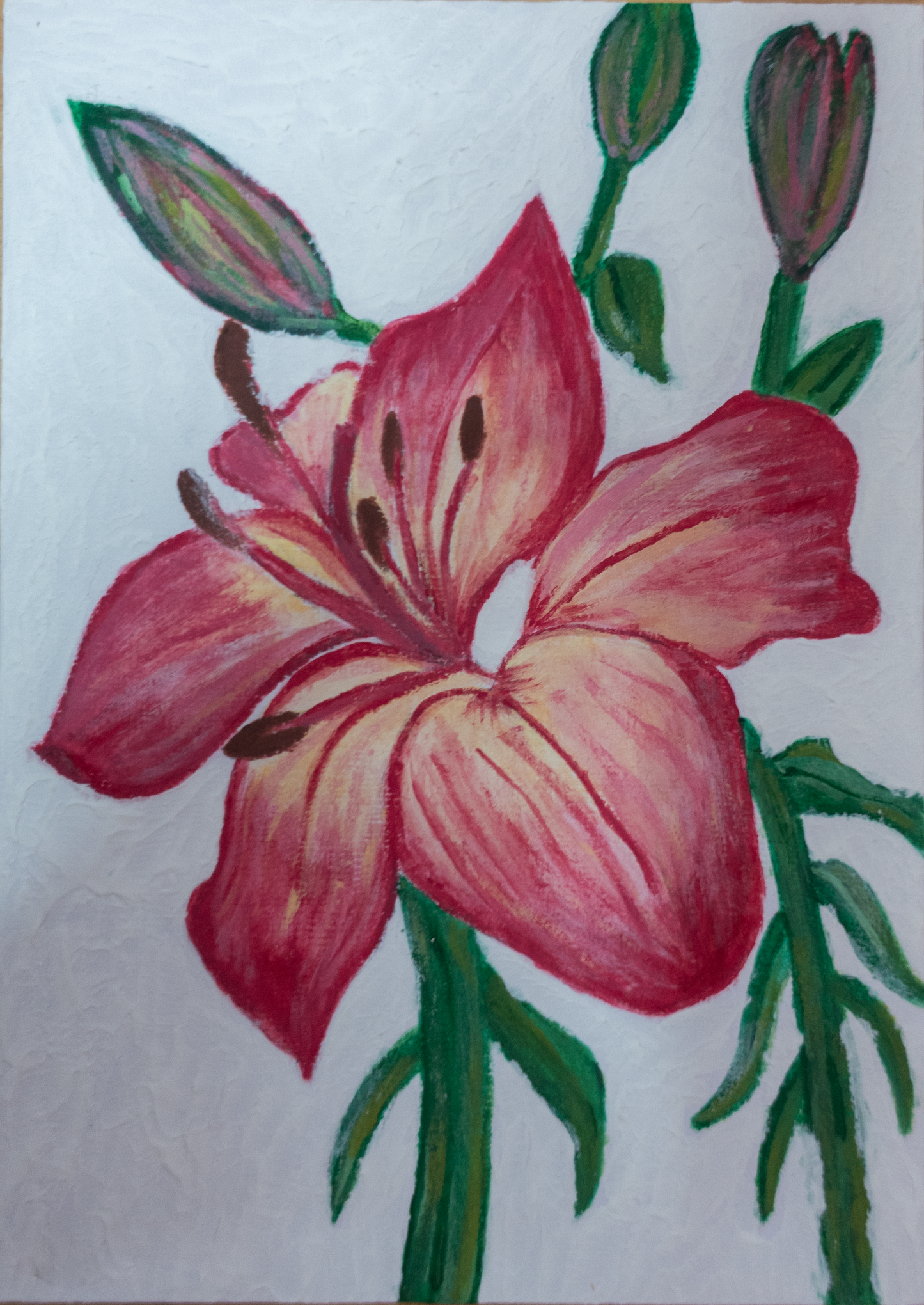 Lily